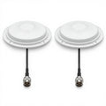 Arronna Indoor WiFi 100m2 Coverage Kit 2-Pack Ceiling Antenna 2.4GHz DAS Omni White Dome N Female